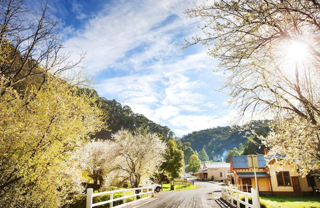 Walhalla'S Star Hotel Bagian luar foto
